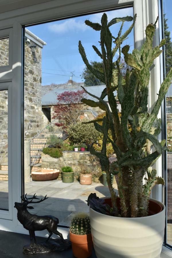 Treveighan Farmhouse Saint Teath Dış mekan fotoğraf